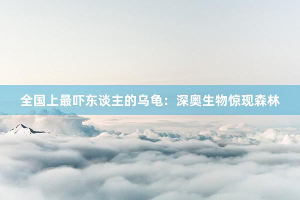 全国上最吓东谈主的乌龟：深奥生物惊现森林